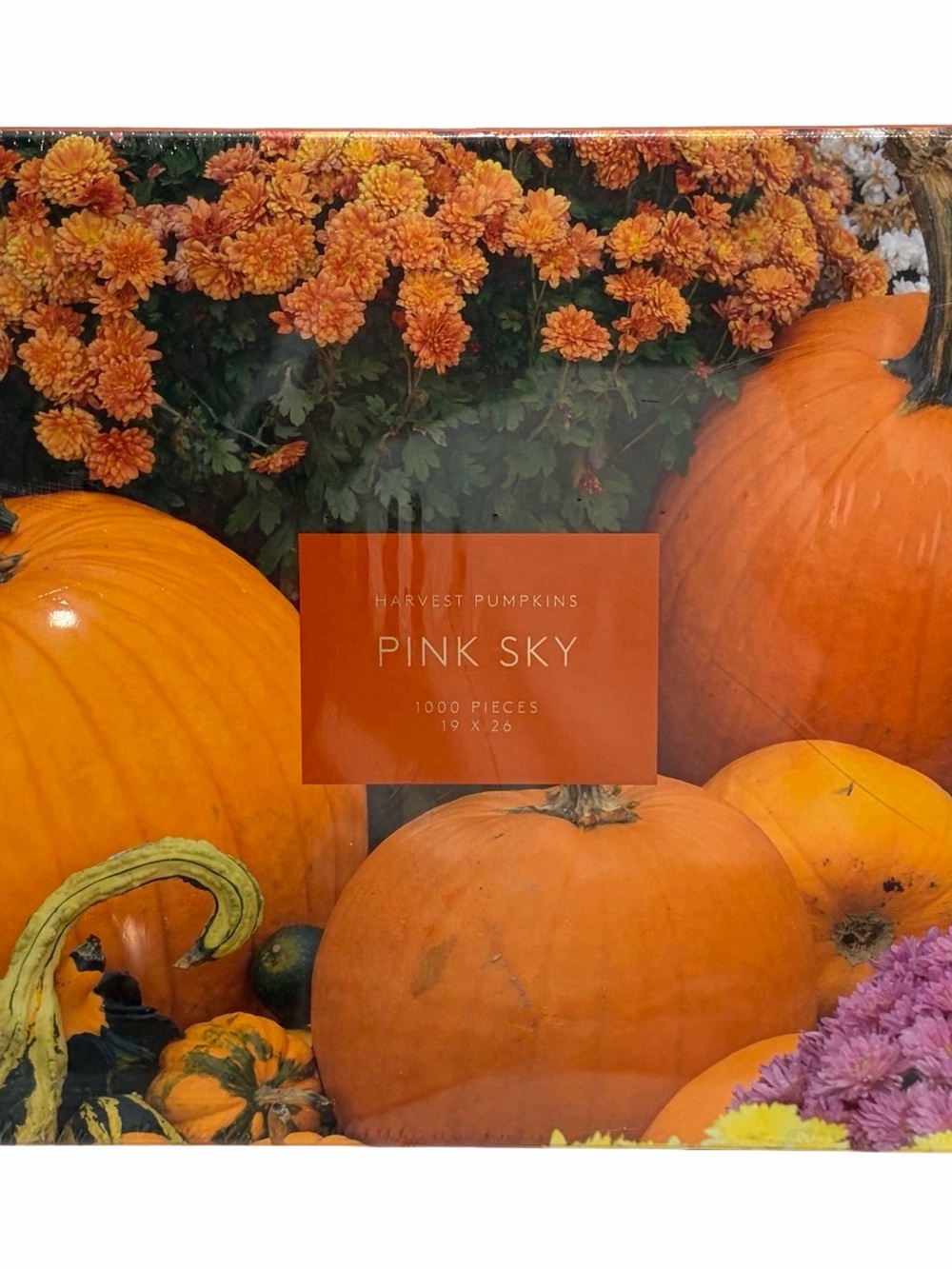 1000-Piece Jigsaw Puzzle Pink Sky Harvest Pumpkins  - Orange NEW